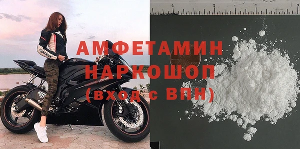 СК Алексин